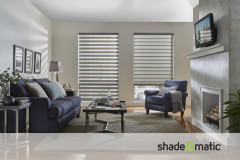 CONCEPT-DUAL-SHADES-FAMILY-ROOM
